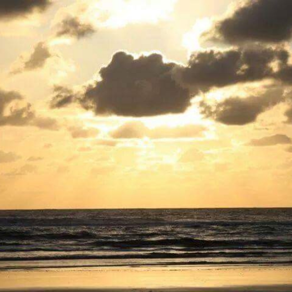 Meet your Posher, Ginny